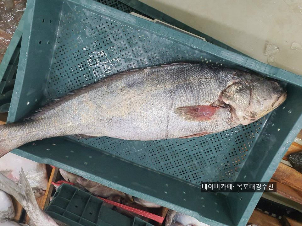 (주)대경수산 이미지
