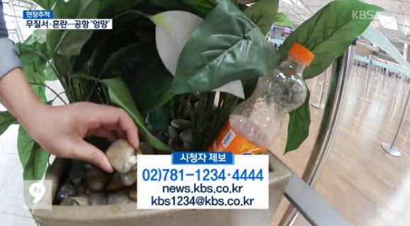 후진국민성 제대로 보여주는 인천공항 이용객들.jpg | 인스티즈