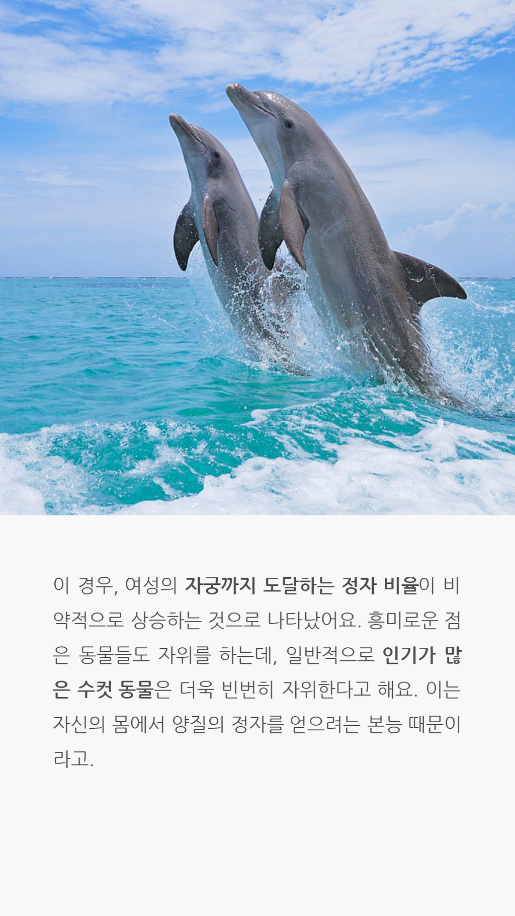 자위의 순기능 | 인스티즈