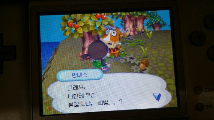 동물의숲 이웃 말버릇을 씌벌로 했더니 | 인스티즈