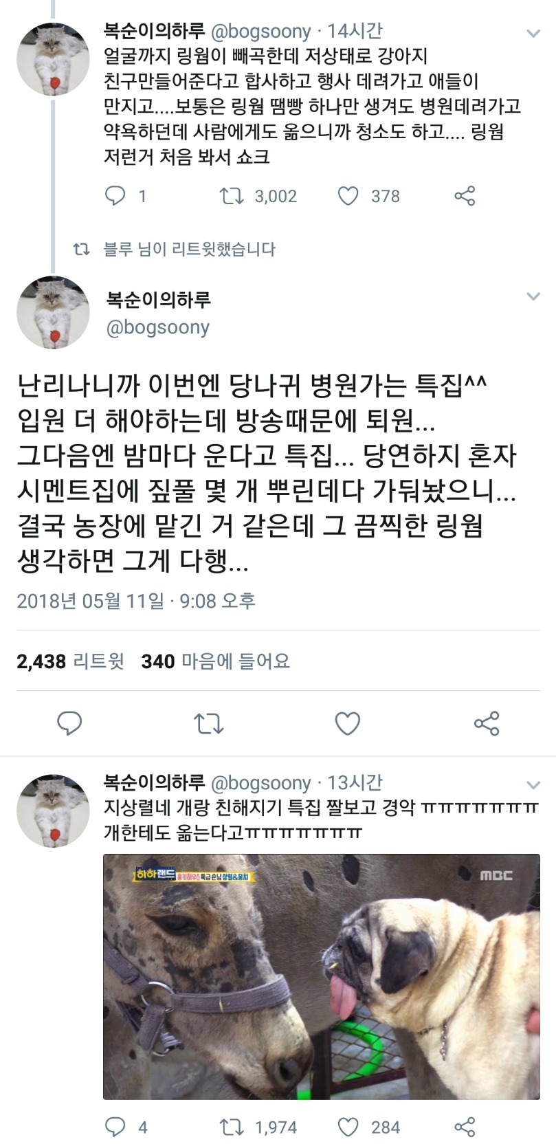 노홍철 진짜 난감이던게 당나귀 키운다고 데려와서 건강 망치고 방송용으로 잘 써먹고 파양한거 | 인스티즈