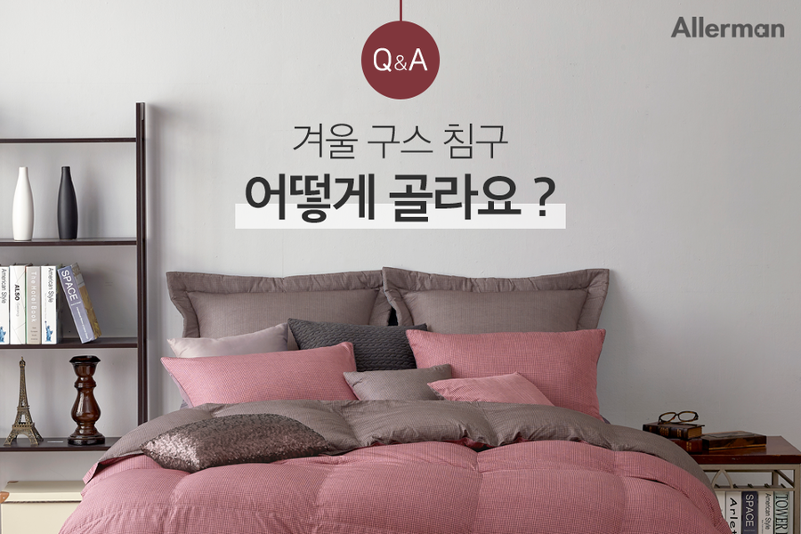 알레르망대전 이미지