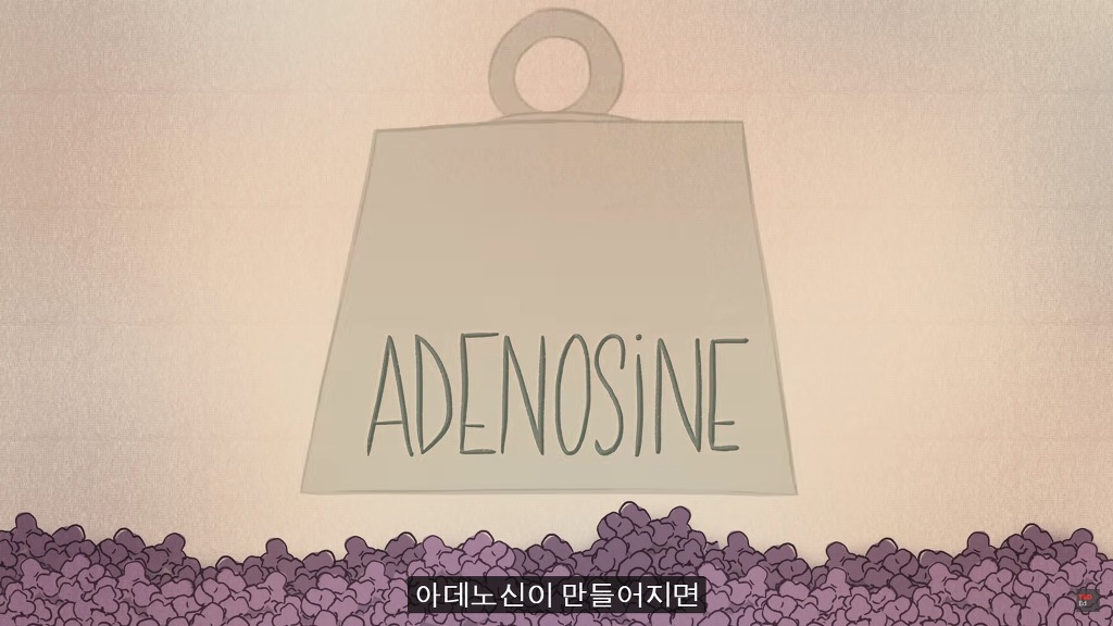 잠을 자지않는다면 우리몸에 어떠한 변화가 일어날까?.JPG | 인스티즈