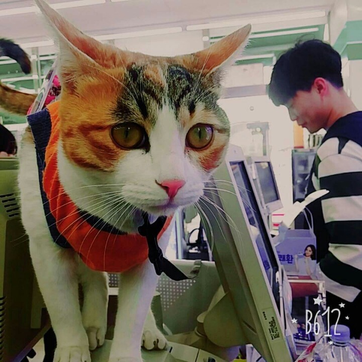 어린(?) 나이에 편의점 점장이 되었다 | 인스티즈