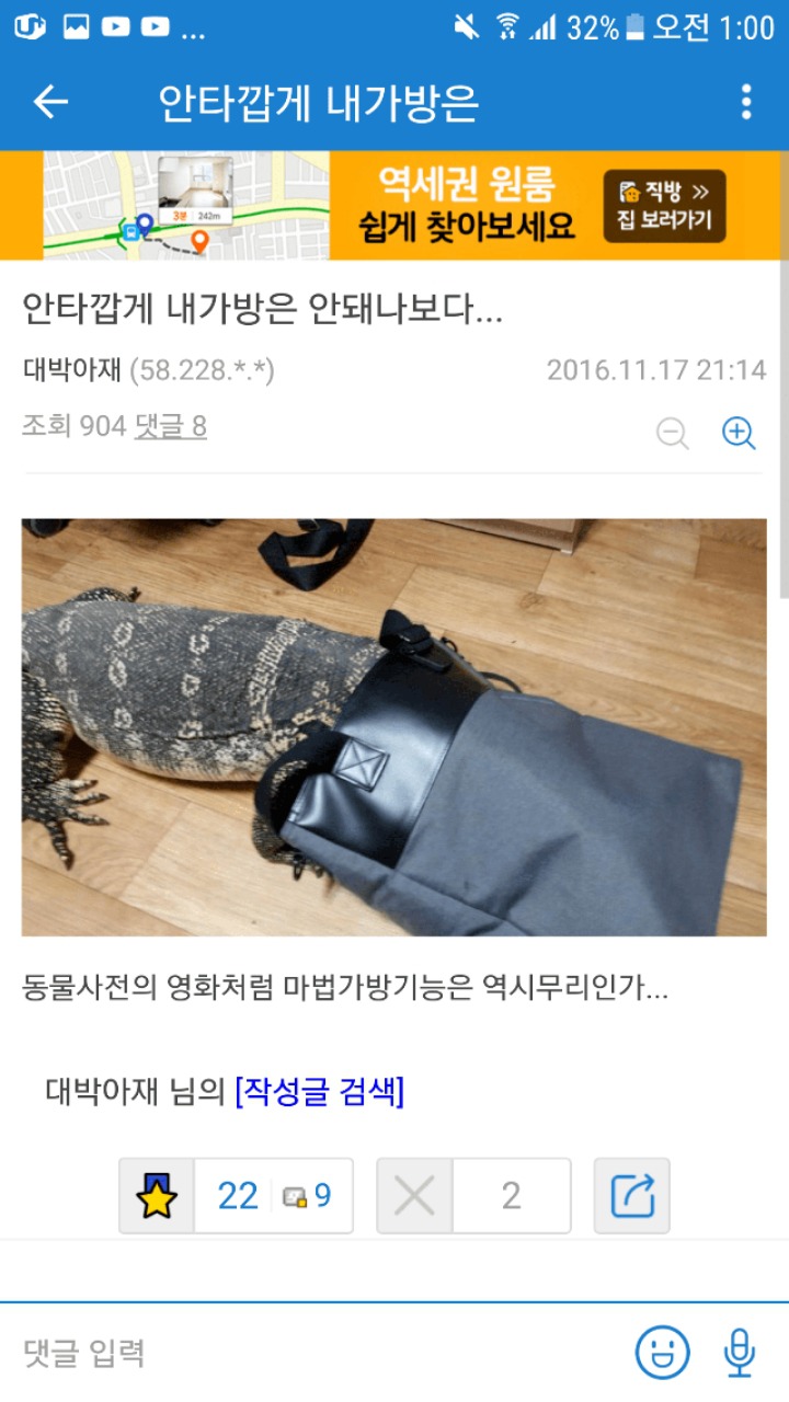 집에서 왕도마뱀 키우는 디씨인.jpg | 인스티즈