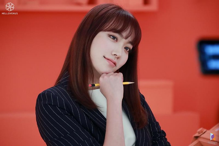 데이터주의) 네모 광고 찍은 헬로비너스 | 인스티즈
