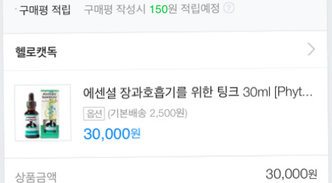 구조햇던 길냥이 모모랑 다른 아가들 입양처 구한대!! | 인스티즈