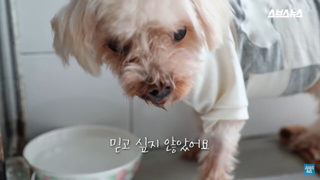  사람들이 홍대에서 인형을 뽑다 우는 이유는? | 인스티즈