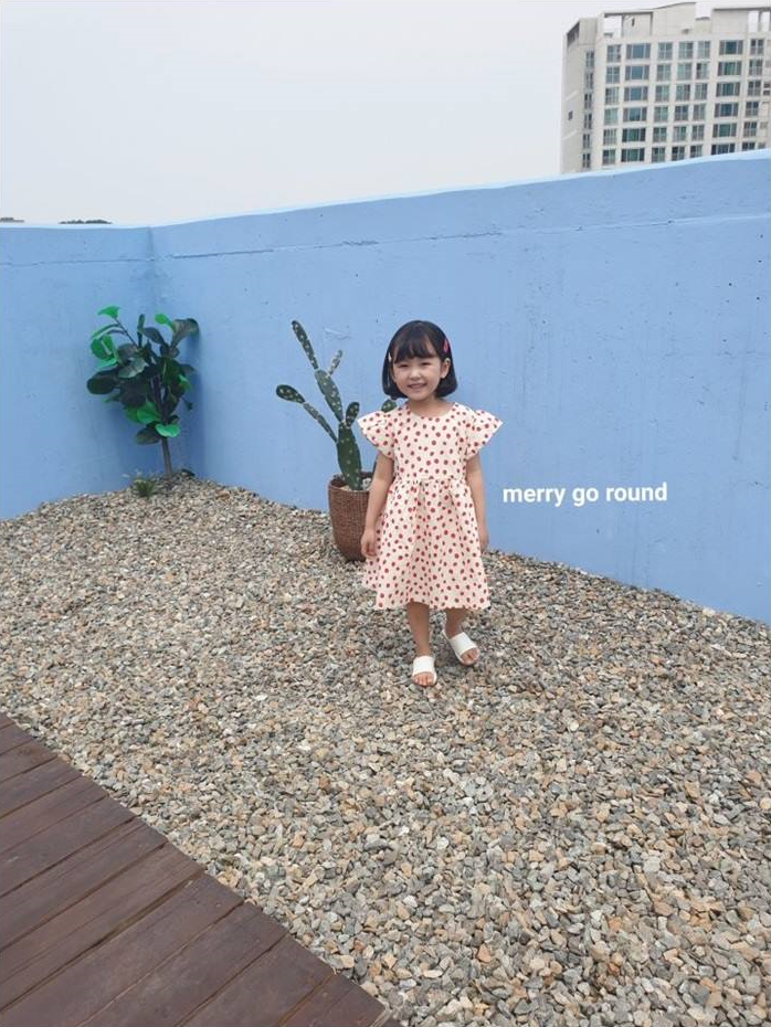 콩콩 이미지