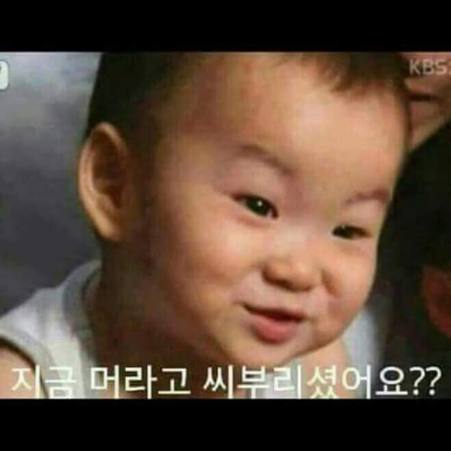 절친들이랑 카톡에서 쓰기좋은 짤방 | 인스티즈