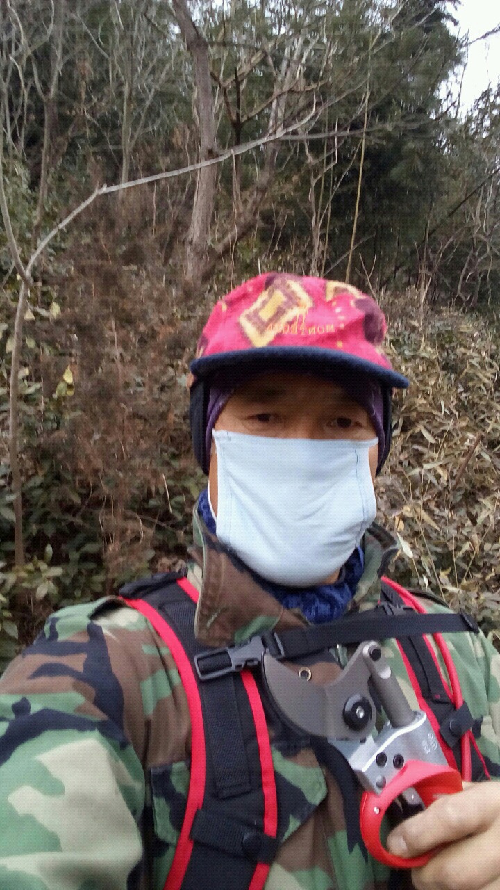 차나무사이로 이미지