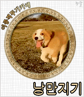 한국에 팔겠다는 의지 | 인스티즈