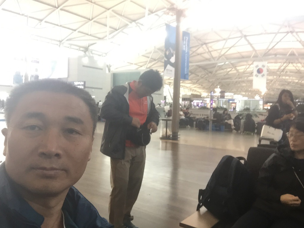 홍파 이미지