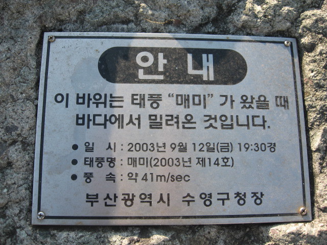태풍의 엄청난 위력에 육지로 올라온 돌과 테트라포드.jpg | 인스티즈