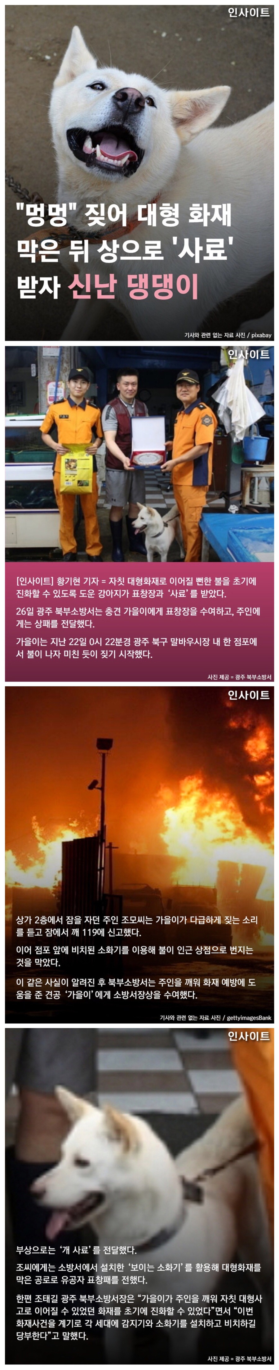 큰화재를 막은 댕댕이 | 인스티즈