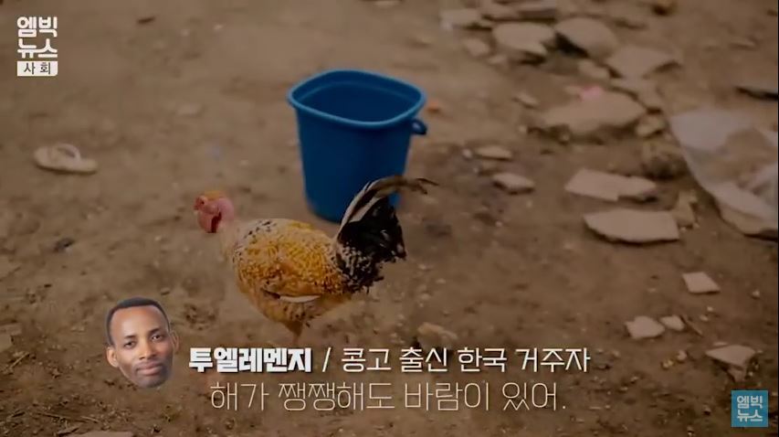 [캡쳐] 한국이 아프리카보다 덥다고요? | 인스티즈