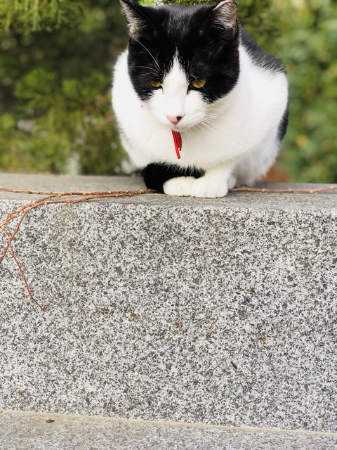 아이폰x 찍은 사진 몇장 | 인스티즈