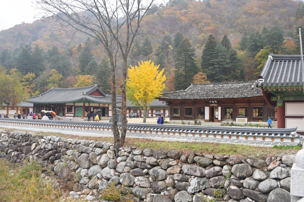 이니지아 이미지