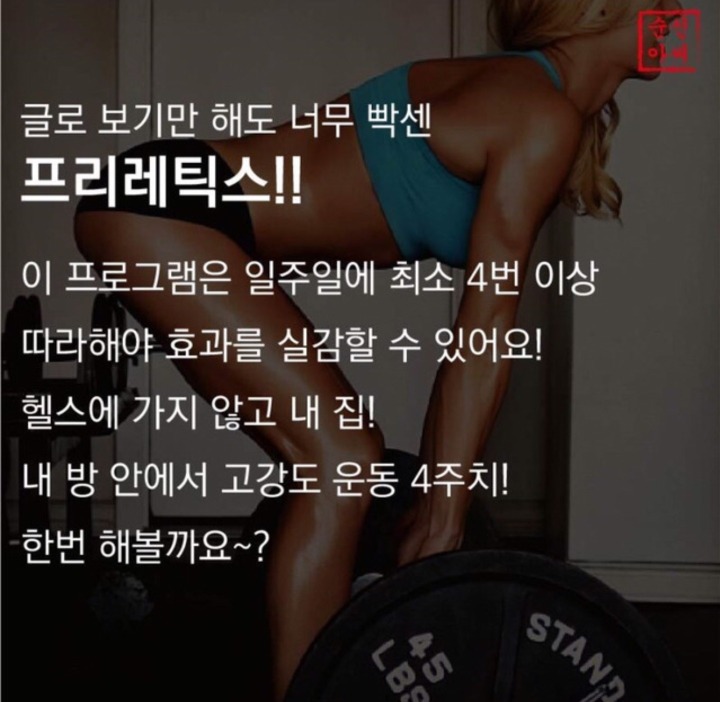 독일에서 만들어진 초강도 운동법 프리레틱스 | 인스티즈