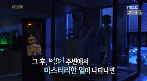 [서프라이즈] 맨디 인형 | 인스티즈