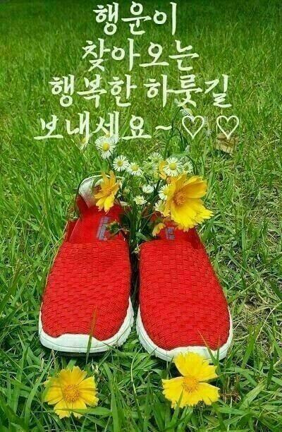 숨은꽃 이미지