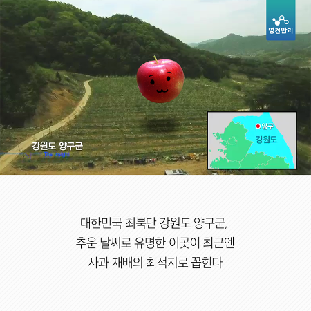 온난화가 그냥 더워지는 것만 문제가 아님. 밥이랑 과일 같은게 없어짐.jpg | 인스티즈