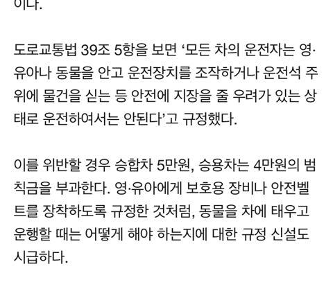 차에 탈때 강아지를 운전자가 안고 타거나 조수석에 아무런 장치 없이 태우면 도로교통법 위법 | 인스티즈