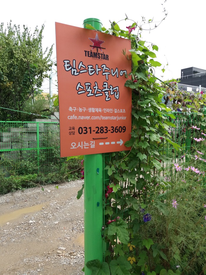 팀스타주니어스포츠클럽 이미지