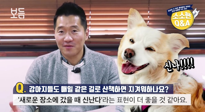 [강형욱의소소한Q&amp;A] 강아지도 매일 같은 길로 산책하면 지겨워 하나요? | 인스티즈
