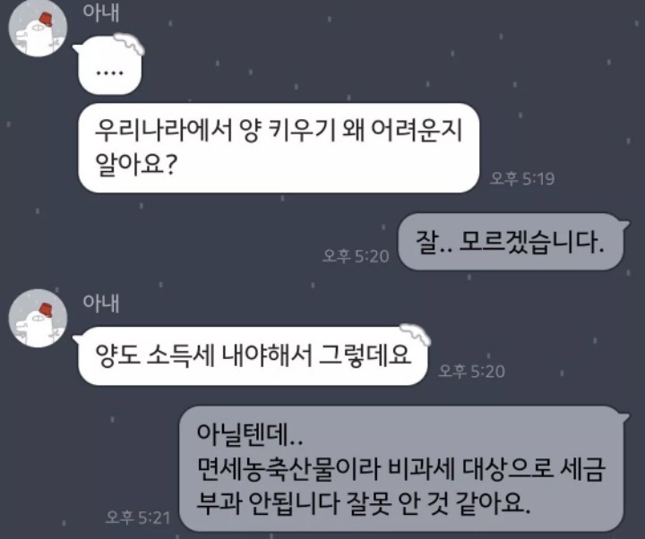 우리나라에서 양키우기 왜 어려운지알아요? | 인스티즈