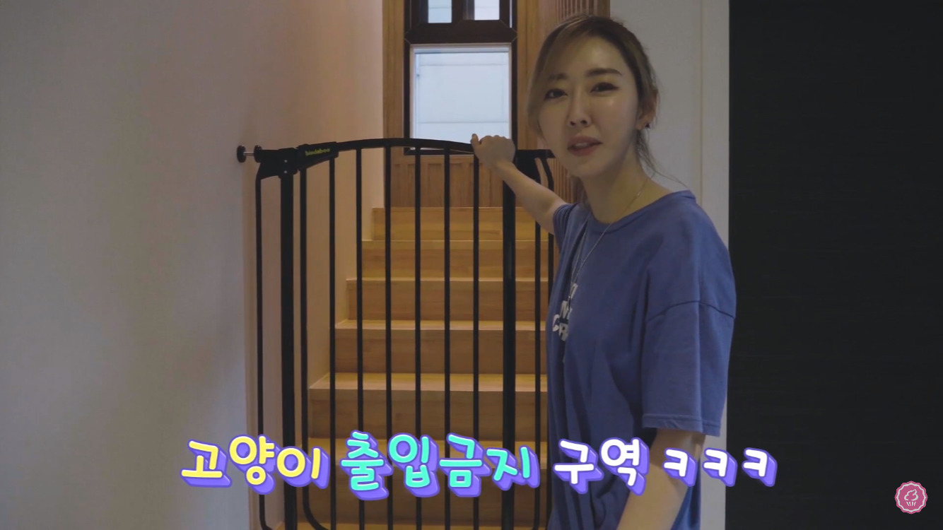 스튜디오아리와 이미지