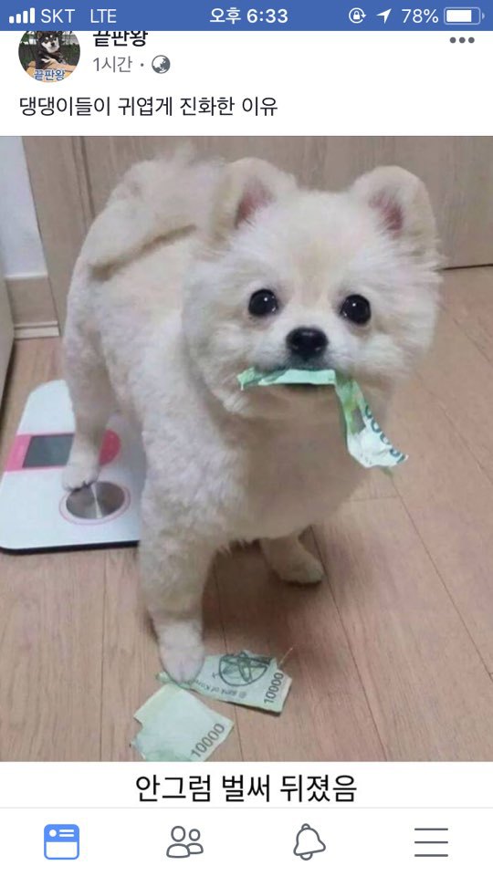댕댕이들이 귀엽게 진화한 이유 | 인스티즈