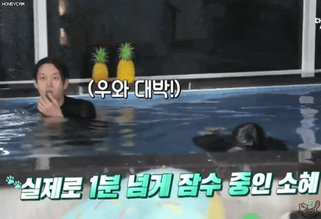 맨날 당하는 소혜 | 인스티즈