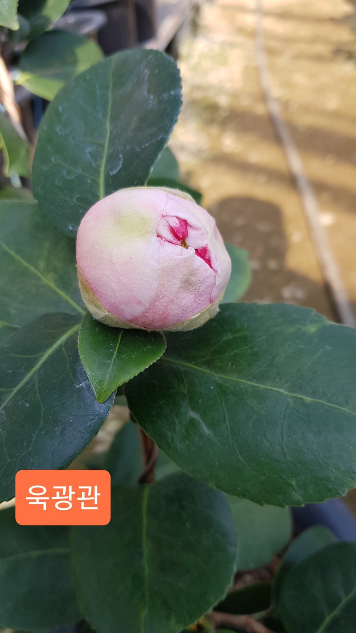 히고 이미지