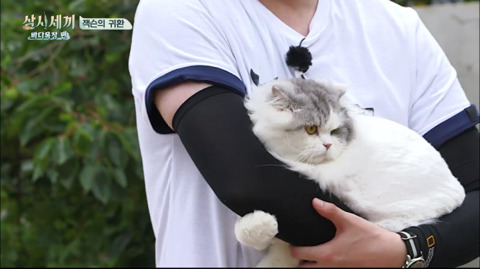 [삼시세끼] 처음 본 잭슨 때문에 놀라서 귱집사 팔 꼬옥 붙드는 고양이 쿵이.gif | 인스티즈