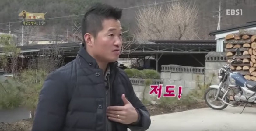 관리 못하겠으면 키우지도 마라 | 인스티즈