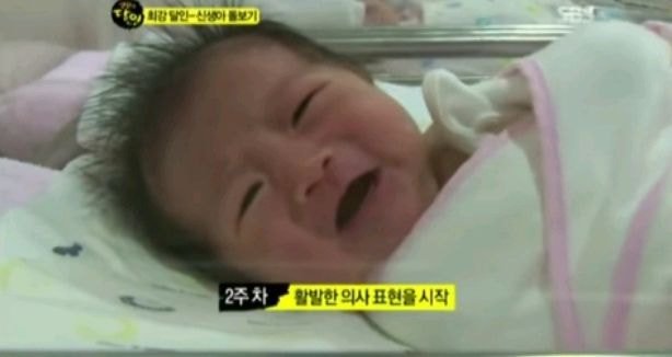 신생아는 주마다 차이가 난대 | 인스티즈