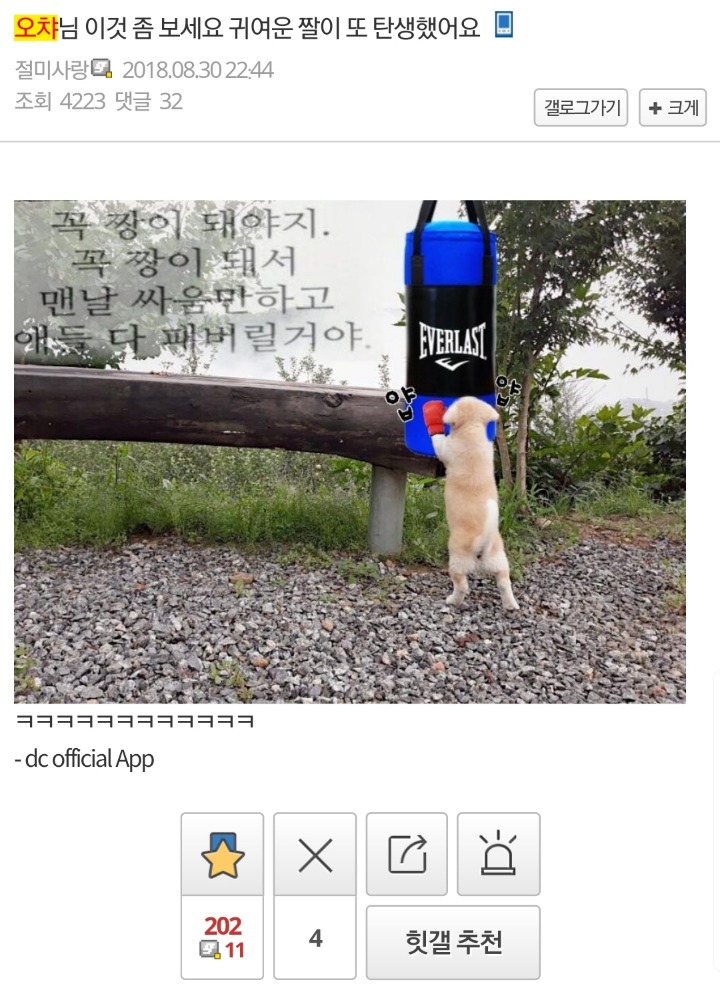 짱이 되기위해 훈련하는 짱절미.jpg | 인스티즈